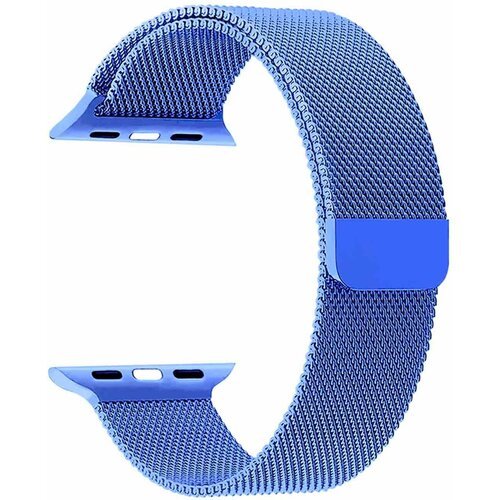 Ремешок из нержавеющей стали для Apple Watch 42/44/45 mm LYAMBDA CAPELLA DS-APM02-44-BL Blue